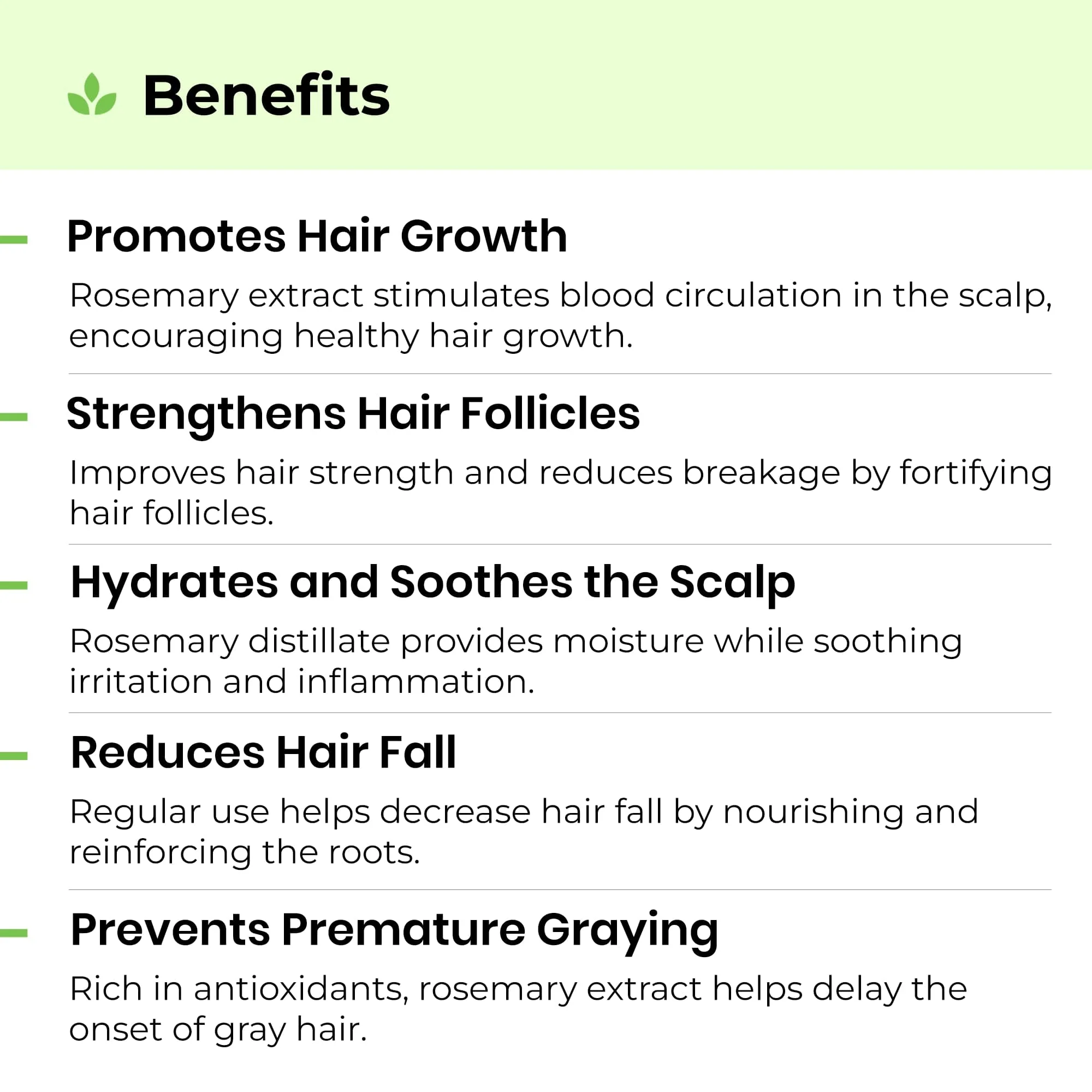 Rosemary Water for Hair and Skin - Image 3